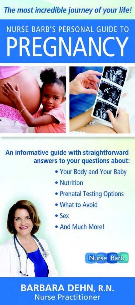 Nurse Barb's Personal Guide to Pregnancy by Basic Health Publications