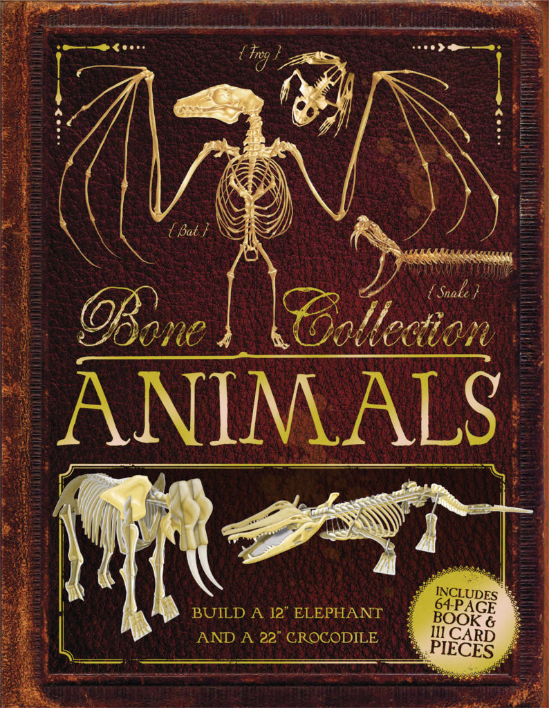 Bone Collection: Animals