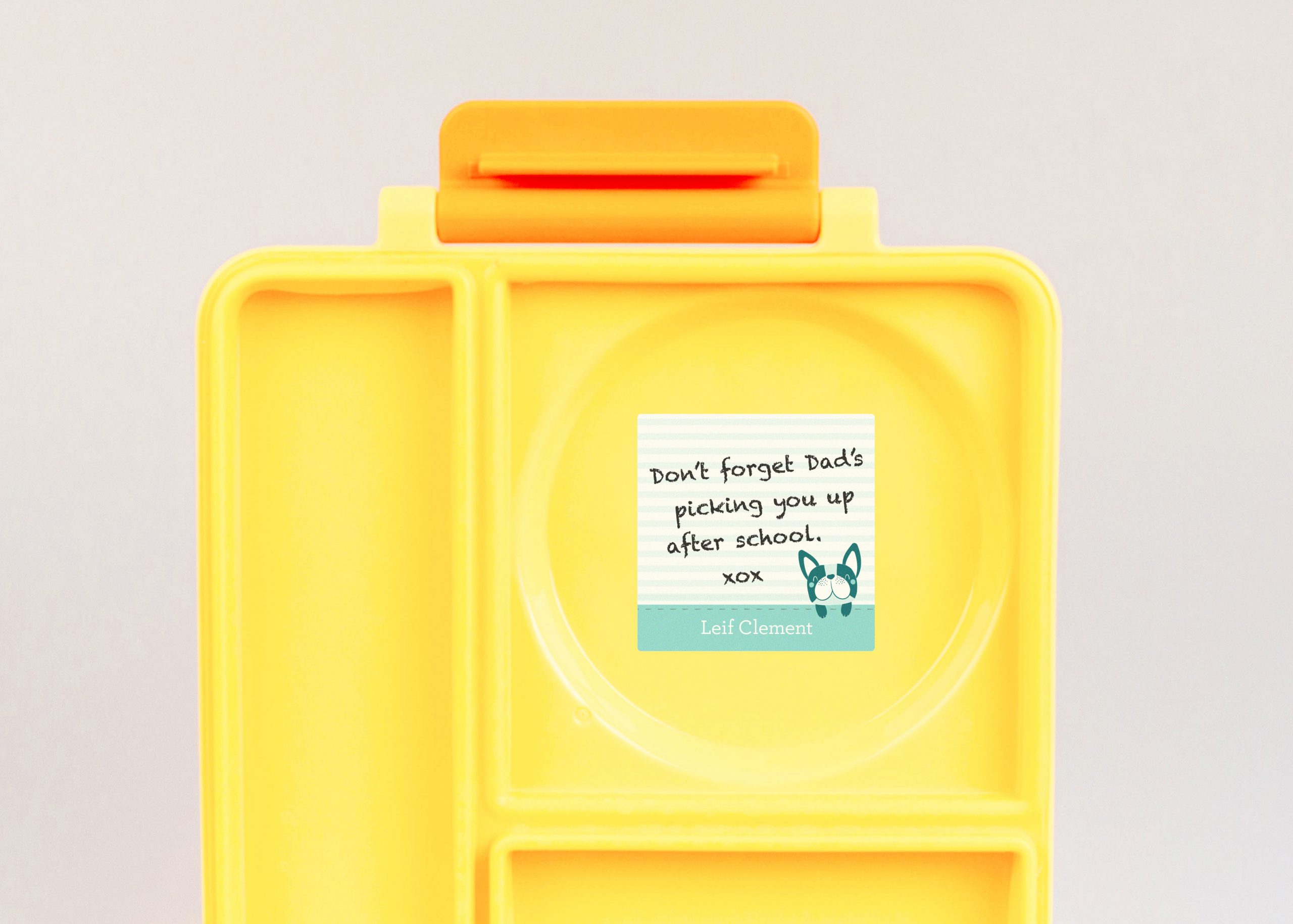Washaway Lunch Box Notes