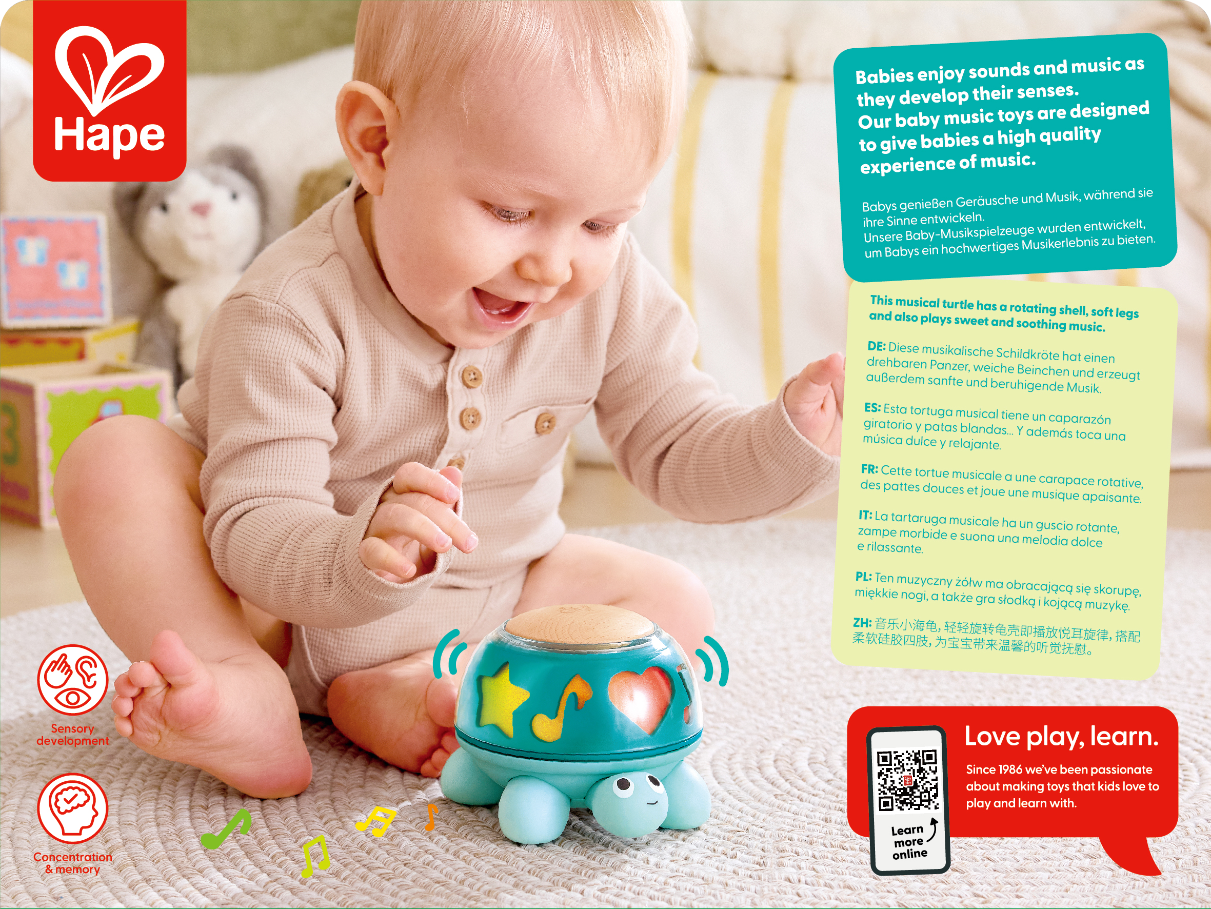 Twist and Tune Turtle